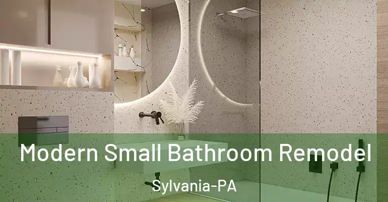 inner Bathroom imggen Modern Small Bathroom Remodel Sylvania-PA
