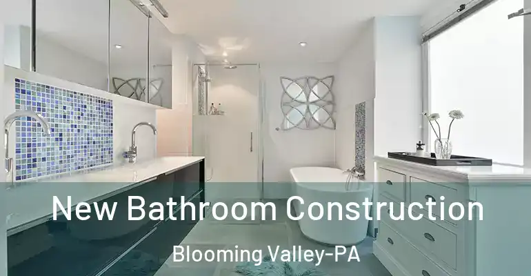 inner Bathroom imggen New Bathroom Construction Blooming Valley-PA