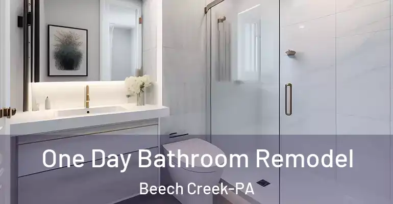 inner Bathroom imggen One Day Bathroom Remodel Beech Creek-PA