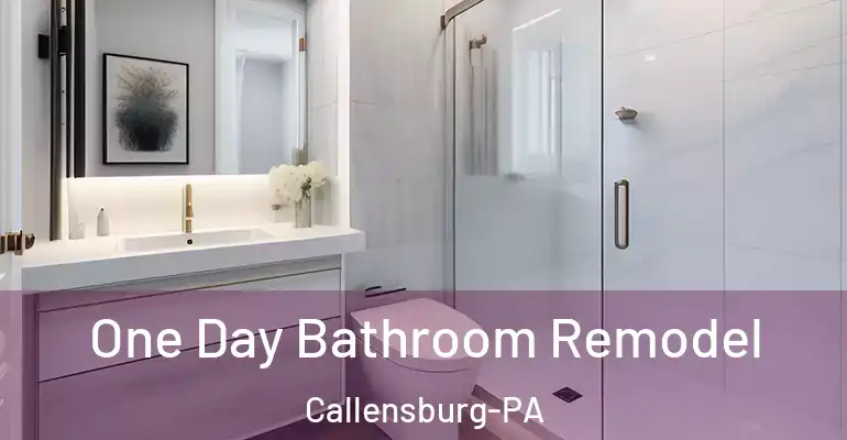 inner Bathroom imggen One Day Bathroom Remodel Callensburg-PA