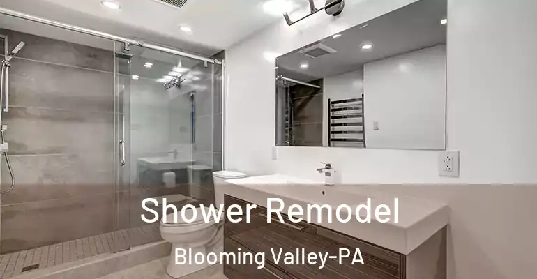 inner Bathroom imggen Shower Remodel Blooming Valley-PA