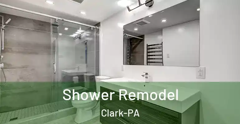 inner Bathroom imggen Shower Remodel Clark-PA