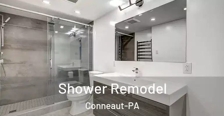 inner Bathroom imggen Shower Remodel Conneaut-PA