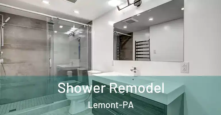 inner Bathroom imggen Shower Remodel Lemont-PA