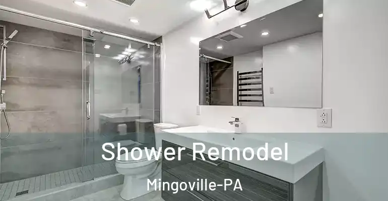 inner Bathroom imggen Shower Remodel Mingoville-PA