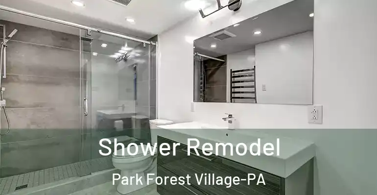 inner Bathroom imggen Shower Remodel Park Forest Village-PA