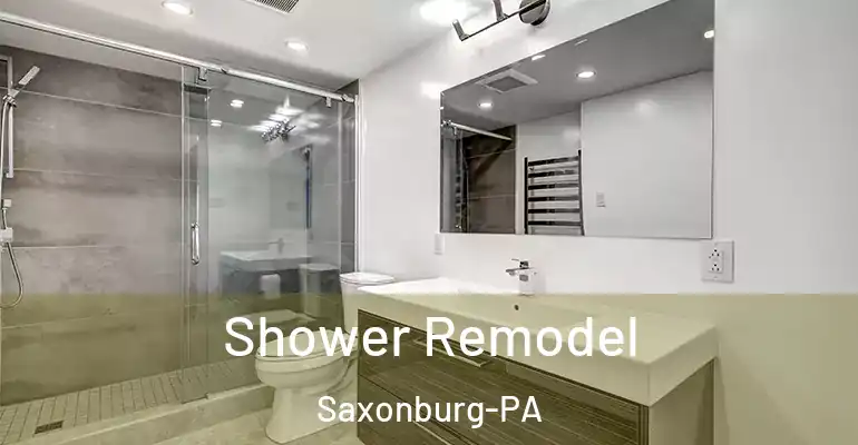 inner Bathroom imggen Shower Remodel Saxonburg-PA