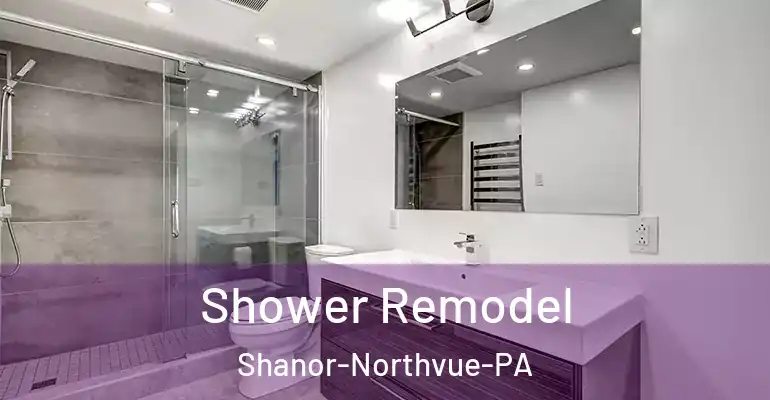 inner Bathroom imggen Shower Remodel Shanor-Northvue-PA