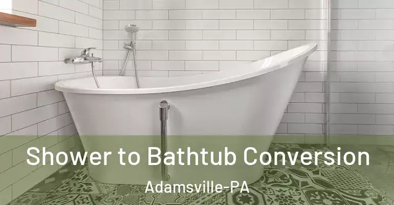 inner Bathroom imggen Shower to Bathtub Conversion Adamsville-PA
