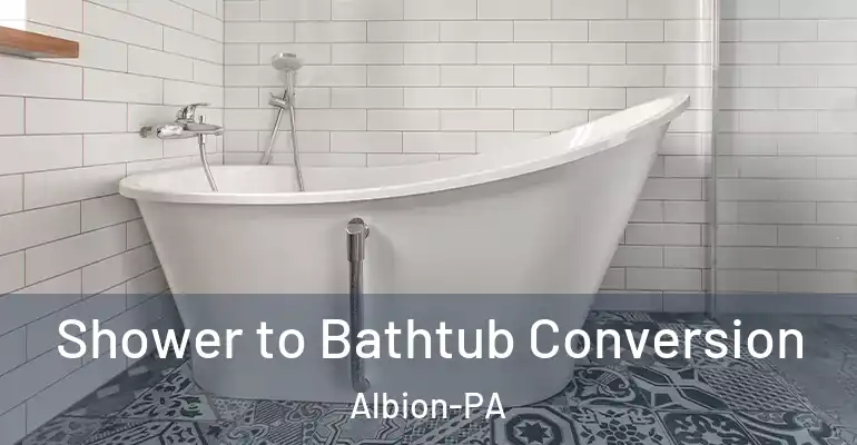 inner Bathroom imggen Shower to Bathtub Conversion Albion-PA