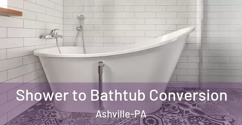 inner Bathroom imggen Shower to Bathtub Conversion Ashville-PA