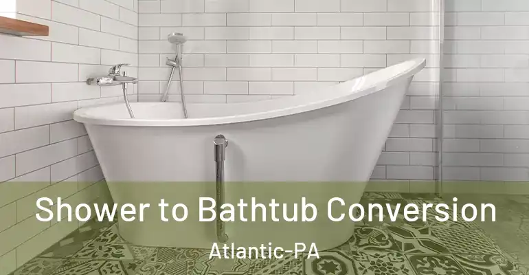 inner Bathroom imggen Shower to Bathtub Conversion Atlantic-PA