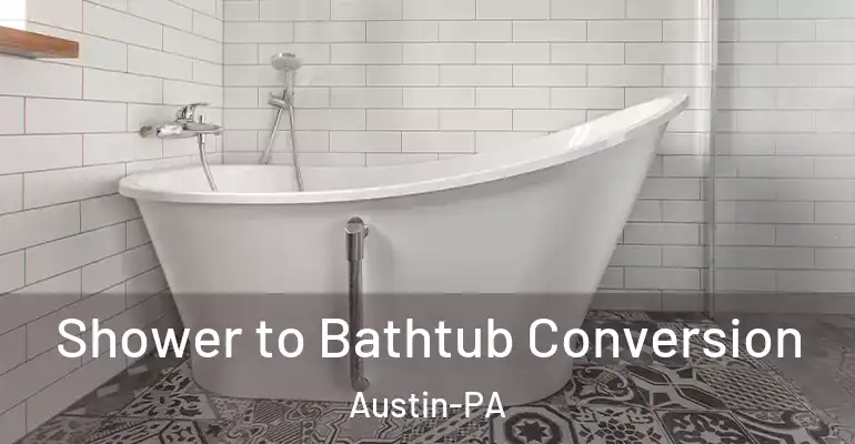 inner Bathroom imggen Shower to Bathtub Conversion Austin-PA