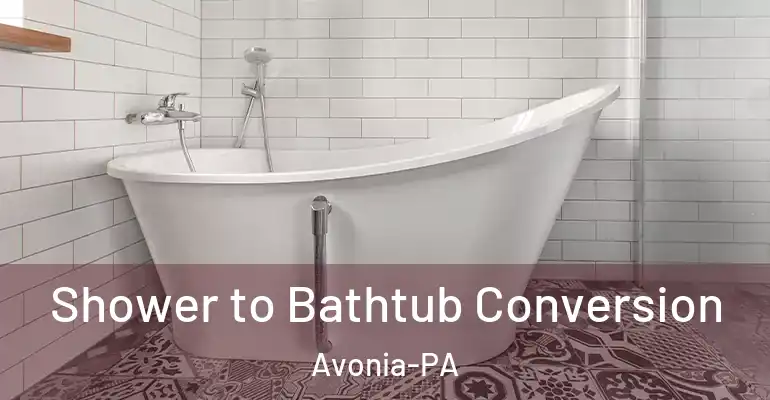inner Bathroom imggen Shower to Bathtub Conversion Avonia-PA
