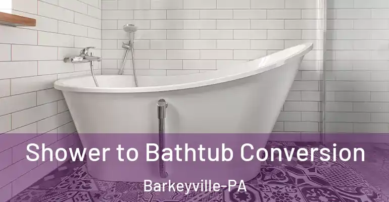 inner Bathroom imggen Shower to Bathtub Conversion Barkeyville-PA