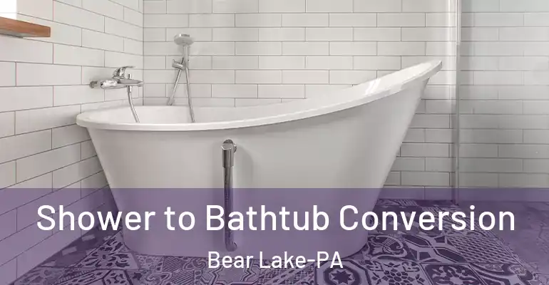 inner Bathroom imggen Shower to Bathtub Conversion Bear Lake-PA