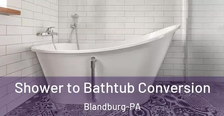 inner Bathroom imggen Shower to Bathtub Conversion Blandburg-PA