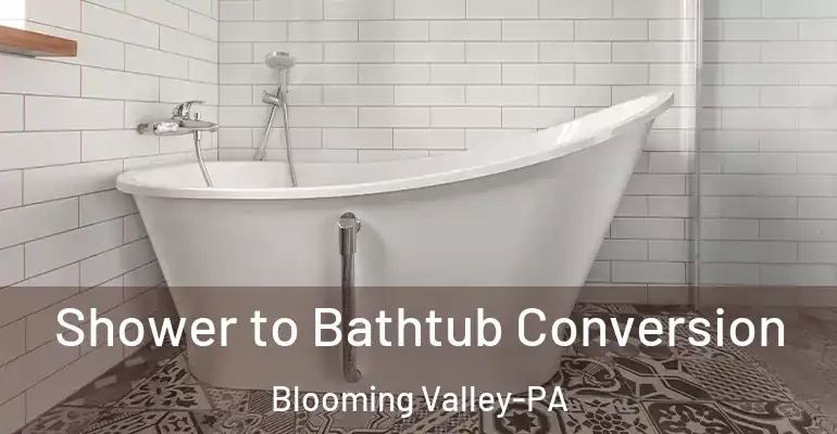 inner Bathroom imggen Shower to Bathtub Conversion Blooming Valley-PA