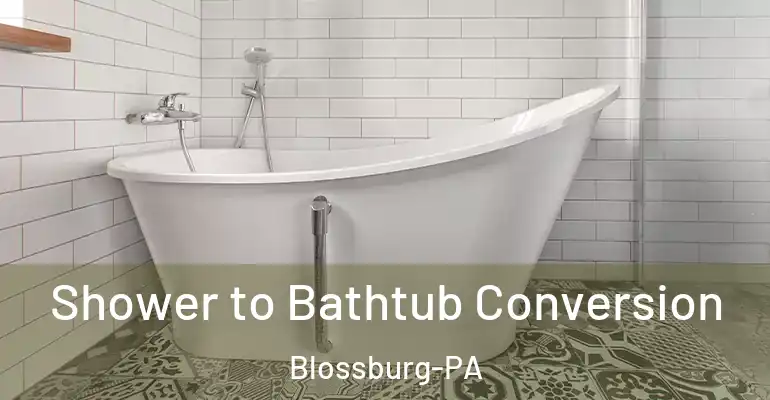 inner Bathroom imggen Shower to Bathtub Conversion Blossburg-PA