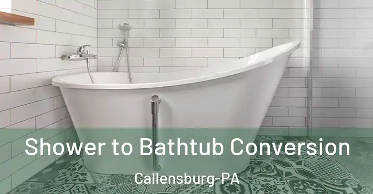 inner Bathroom imggen Shower to Bathtub Conversion Callensburg-PA