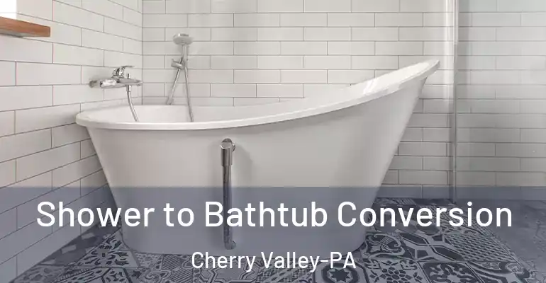 inner Bathroom imggen Shower to Bathtub Conversion Cherry Valley-PA