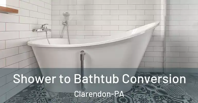 inner Bathroom imggen Shower to Bathtub Conversion Clarendon-PA