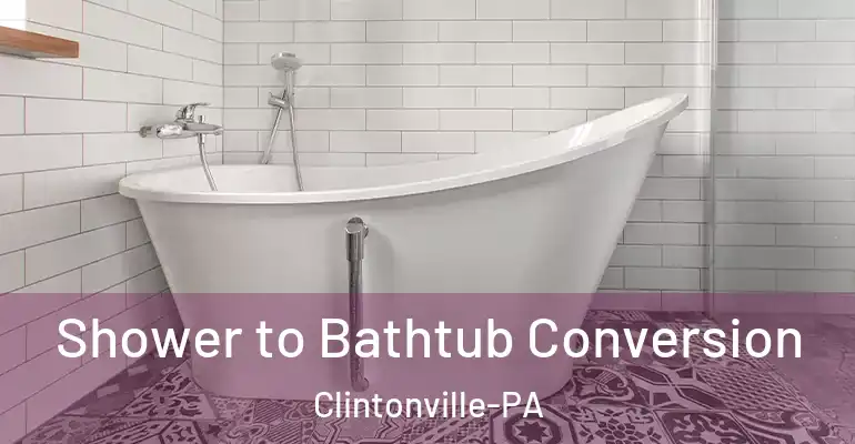 inner Bathroom imggen Shower to Bathtub Conversion Clintonville-PA