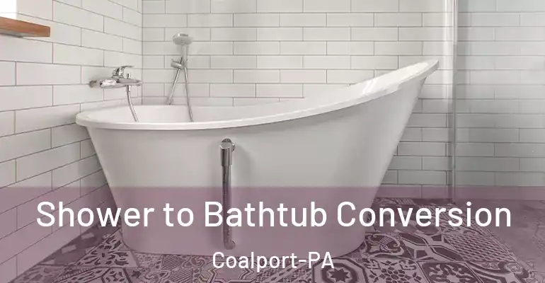 inner Bathroom imggen Shower to Bathtub Conversion Coalport-PA