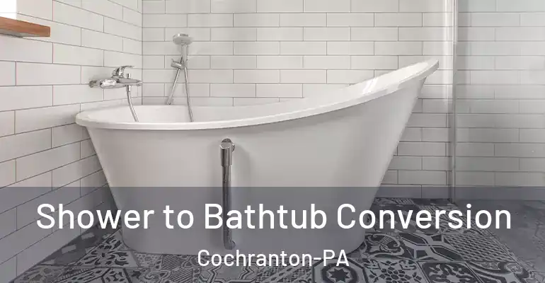 inner Bathroom imggen Shower to Bathtub Conversion Cochranton-PA
