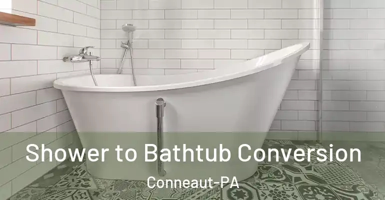 inner Bathroom imggen Shower to Bathtub Conversion Conneaut-PA