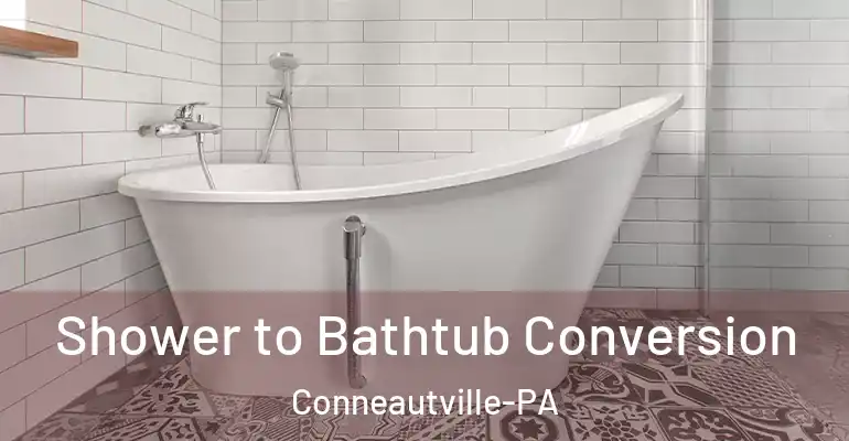 inner Bathroom imggen Shower to Bathtub Conversion Conneautville-PA