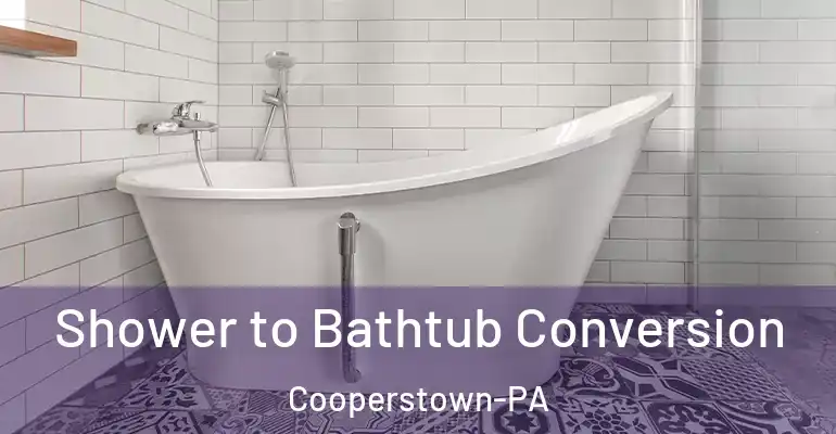 inner Bathroom imggen Shower to Bathtub Conversion Cooperstown-PA