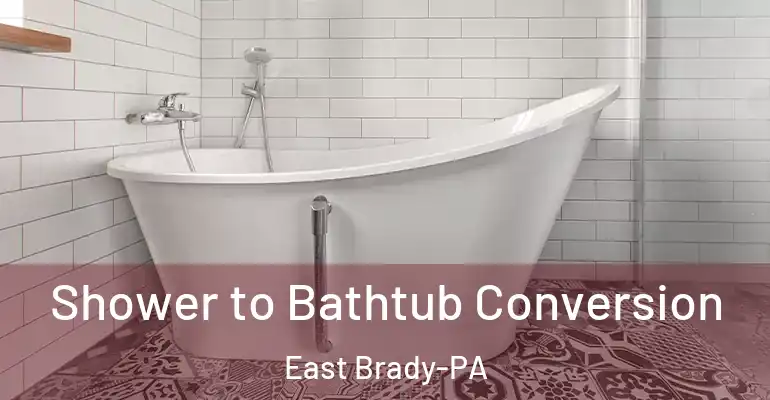 inner Bathroom imggen Shower to Bathtub Conversion East Brady-PA