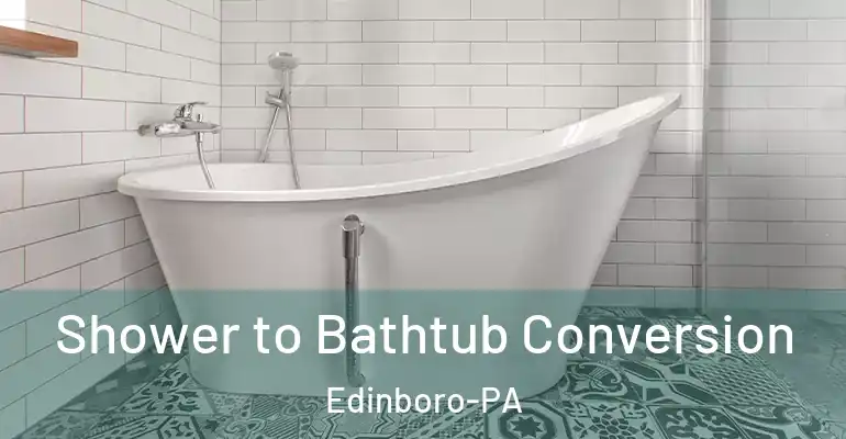 inner Bathroom imggen Shower to Bathtub Conversion Edinboro-PA