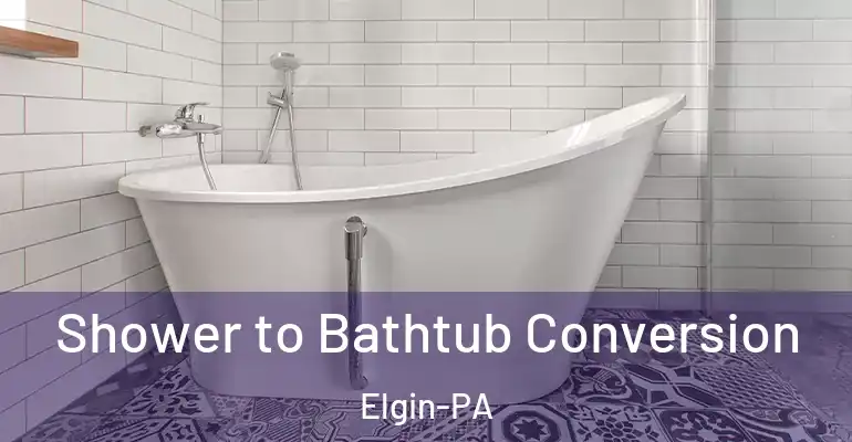 inner Bathroom imggen Shower to Bathtub Conversion Elgin-PA