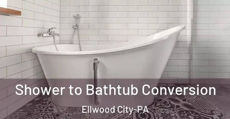 inner Bathroom imggen Shower to Bathtub Conversion Ellwood City-PA