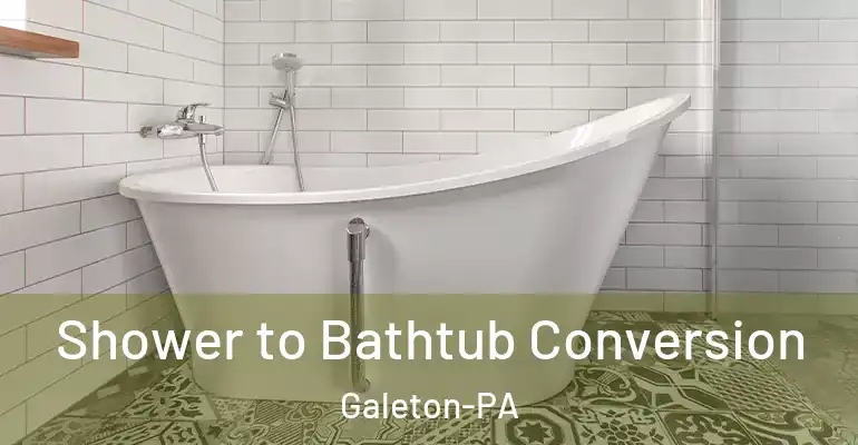 inner Bathroom imggen Shower to Bathtub Conversion Galeton-PA