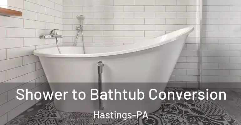 inner Bathroom imggen Shower to Bathtub Conversion Hastings-PA