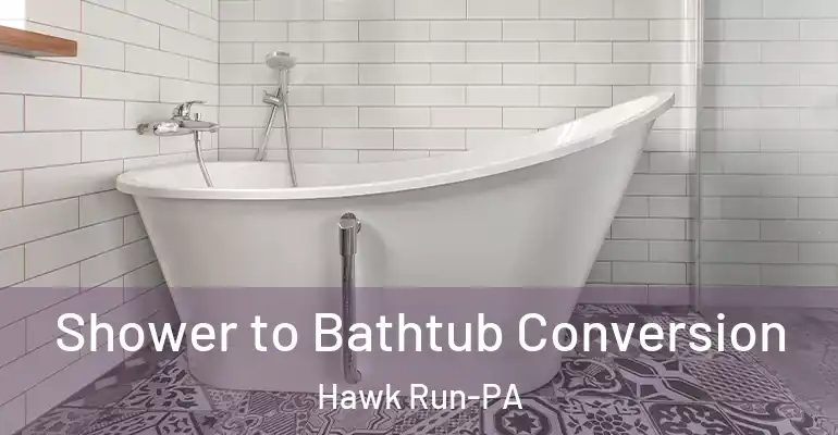 inner Bathroom imggen Shower to Bathtub Conversion Hawk Run-PA