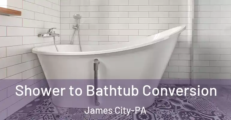 inner Bathroom imggen Shower to Bathtub Conversion James City-PA