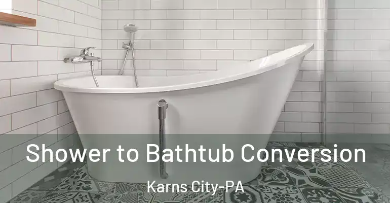 inner Bathroom imggen Shower to Bathtub Conversion Karns City-PA