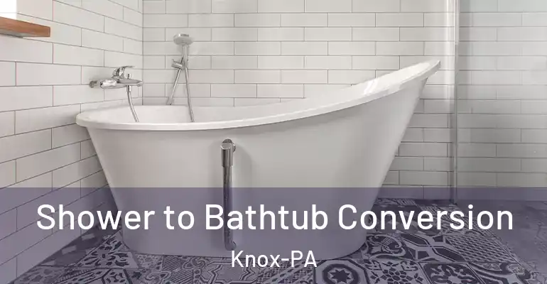 inner Bathroom imggen Shower to Bathtub Conversion Knox-PA
