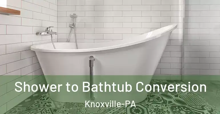 inner Bathroom imggen Shower to Bathtub Conversion Knoxville-PA