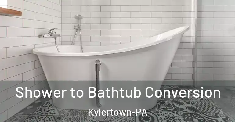 inner Bathroom imggen Shower to Bathtub Conversion Kylertown-PA