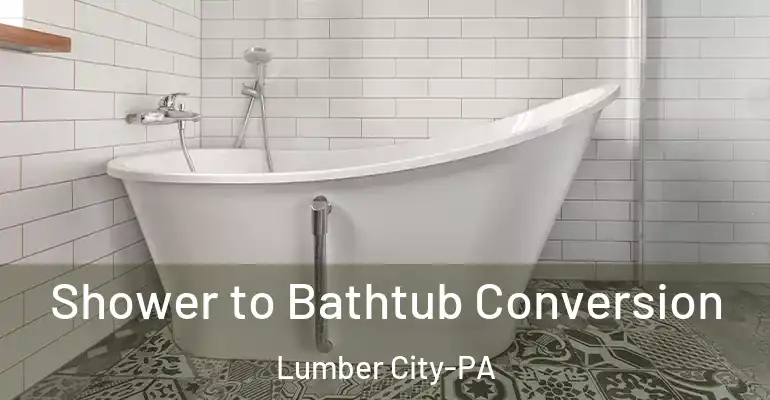 inner Bathroom imggen Shower to Bathtub Conversion Lumber City-PA