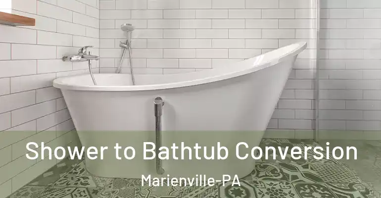 inner Bathroom imggen Shower to Bathtub Conversion Marienville-PA