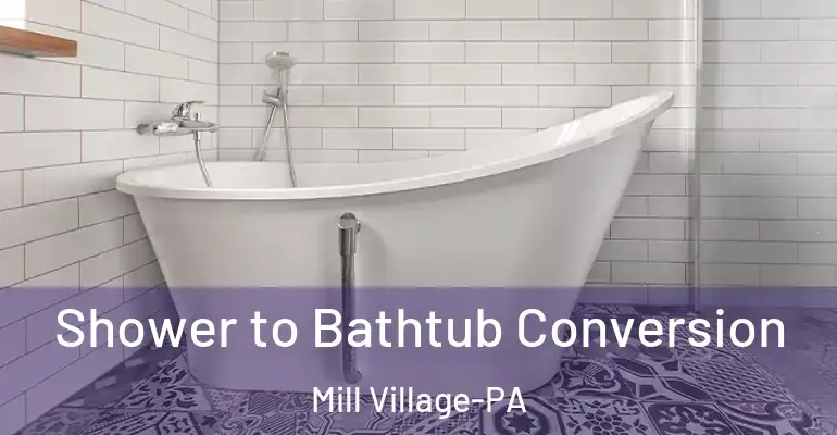 inner Bathroom imggen Shower to Bathtub Conversion Mill Village-PA
