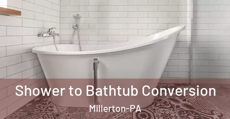 inner Bathroom imggen Shower to Bathtub Conversion Millerton-PA