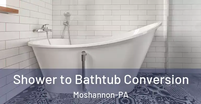 inner Bathroom imggen Shower to Bathtub Conversion Moshannon-PA