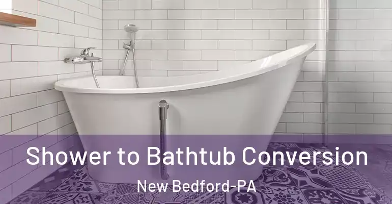 inner Bathroom imggen Shower to Bathtub Conversion New Bedford-PA